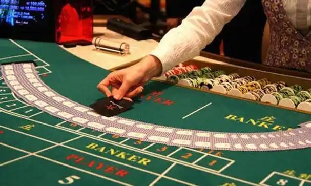 161 bet